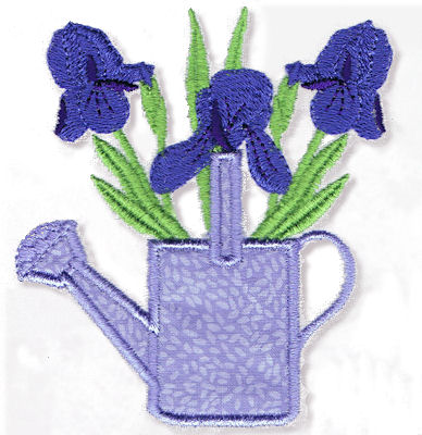 Iris in Water Can