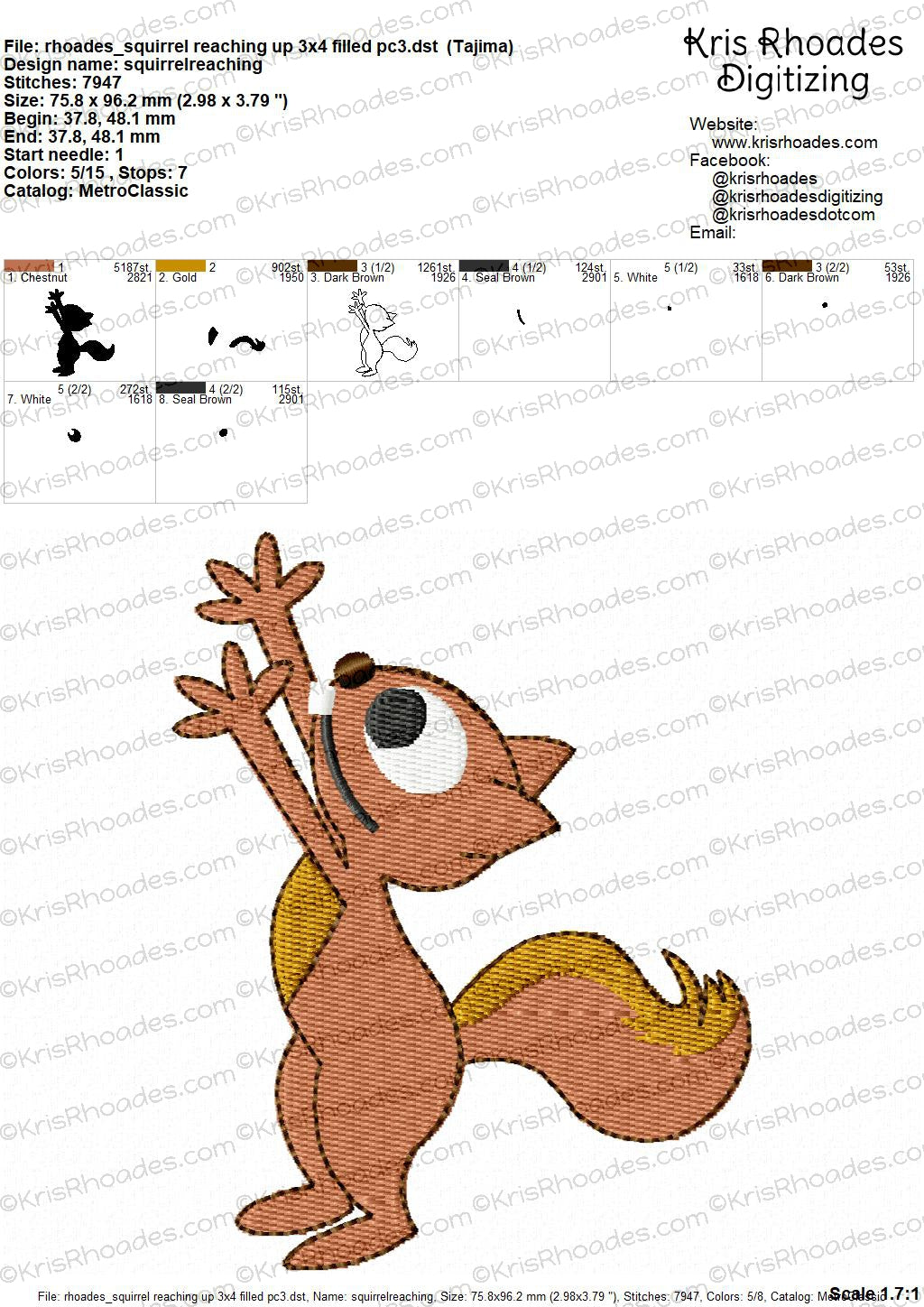 KRD Squirrel Reaching Up