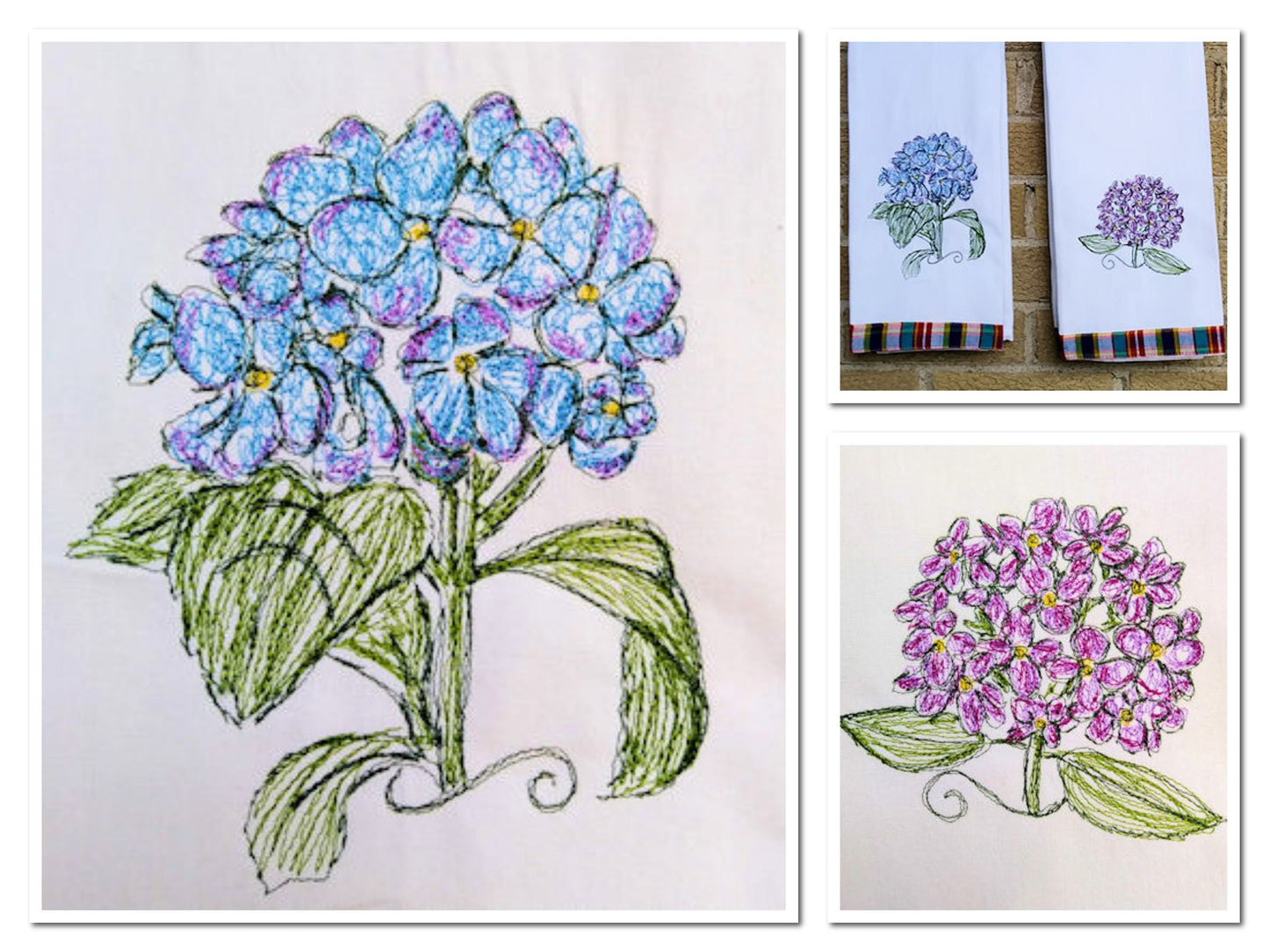 Hydrangea 1 Flower Scribble