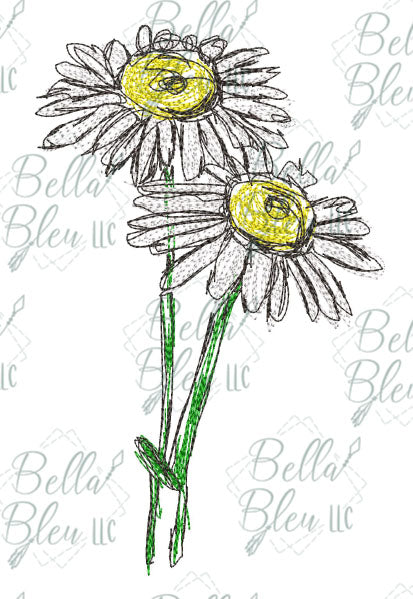 Daisy 1 Flower Scribble